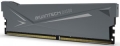 Модуль памяти DDR4 8Gb 3000MHz Biwintech DX500 Heatsink (B14BU8G53016ER-GAL#A)